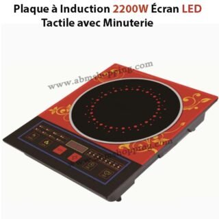 Plaque à Induction 2200W Écran LED Tactile avec Minuterie | Lexical LIC-2782