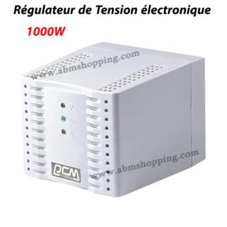 Régulateur de Tension électronique 1000W avec protection contre les surcharges